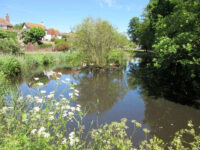 East Blatchington Pond