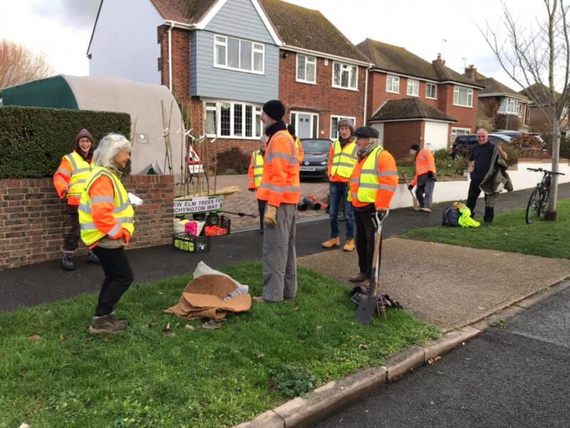 Trees for Seaford in Chyngton Way
